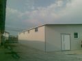Hale, tunele productie ciuperci