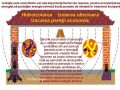 Hidroizolarea, Izolarea, Izolarea ulterioara, Uscarea peretii ecologic economic