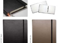 Articole promotionale de tip corporate