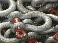 Shackles / Gambeti omega G209 Crosby