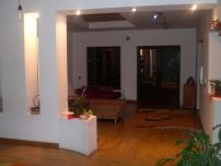 VILA DEOSEBITA - RAIU PE PAMANT