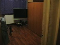 Vand NEGOCIABIL urgent, Ap. 3 Cam. Sos. Alexandria, Int. Cal.Rahovei!