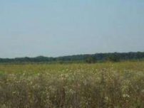 Teren Intravilan C-tii Lotizat Destinatie Mixta Localitatea Copaceni Judet Ilfov