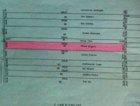 Teren Extravilan Localitatea Branesti in sat Islaz Judetul Ilfov