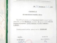 Teren Intravilan Lotizat Destinatie Mixta Localitatea Copaceni Judet Ilfov