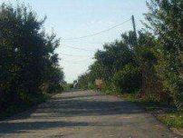 Teren Intravilan Lotizat Destinatie Mixta Localitatea Copaceni Judet Ilfov