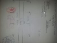 Teren Extravilan Localitatea Branesti sat Islaz in Est Judet Ilfov