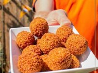 Delicii din Olanda bitterballen, viandel Total Blue