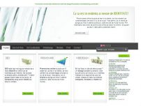 Dezvoltare web, web design seo, Harr SEO