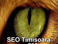 Optimizare SEO Timisoara web design administrare