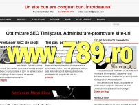 Optimizare SEO Timisoara administrare site-uri