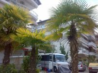 Transport persoane intern international